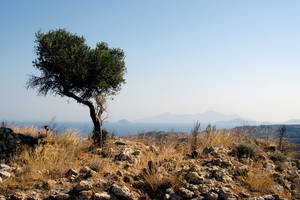 Kos 2008 | Pentax K10D | The Sentry 
